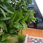 Adilaj 度假居 培拉特