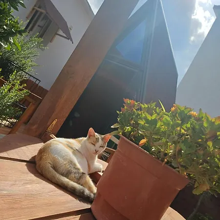 Adilaj Hébergement de vacances