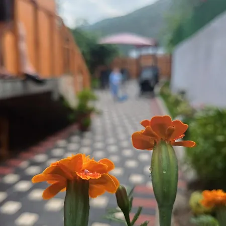 Vakantiehuis Adilaj *