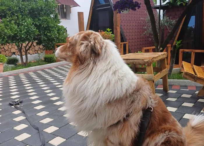 Adilaj Casa vacanze