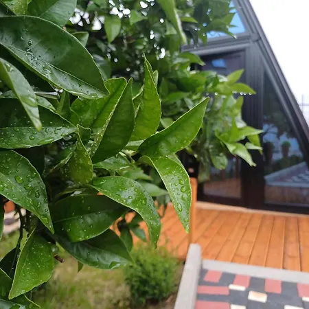 Adilaj Casa vacanze Berat