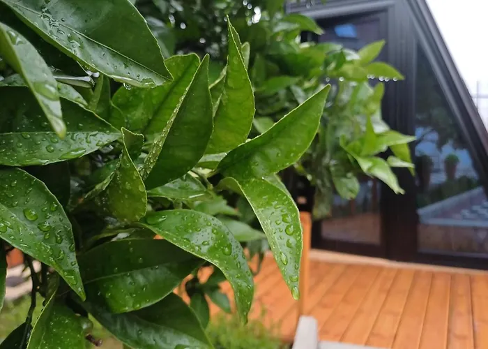 Adilaj Tatil Evi Berat