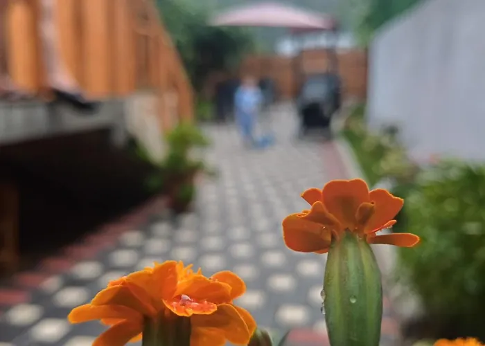 Casa de Férias Adilaj *